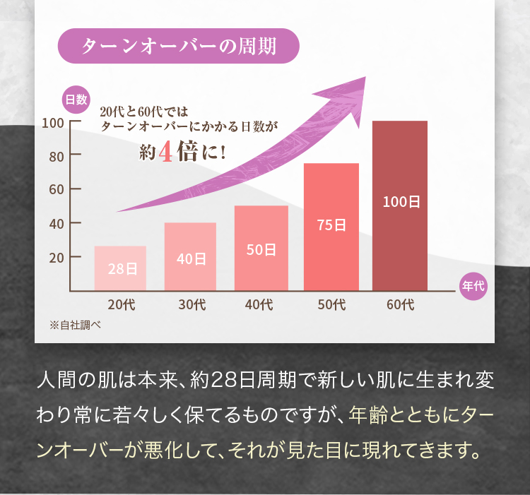 ターンオーバーの仕組み